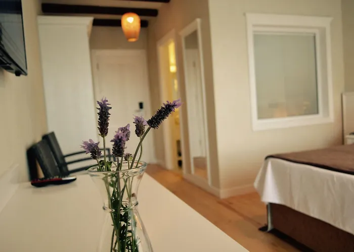 Szálloda La Boutique Maya 4*