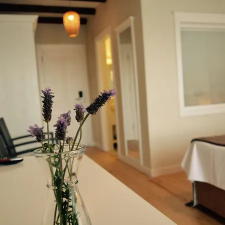 Hotel La Boutique Maya 4*